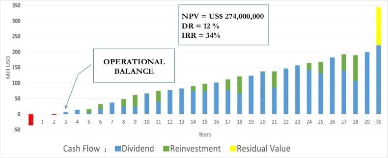 Weighted NPV calculation for the Macizo project